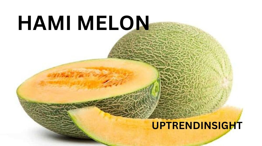 Hami Melon