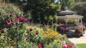 Marin Art and Garden Center